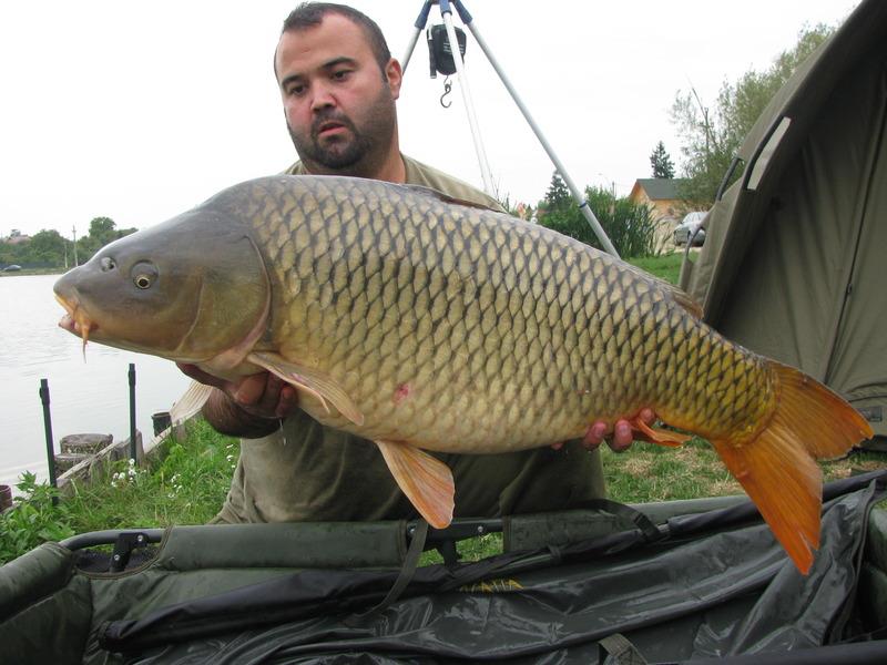 My Passion - img7172.jpg